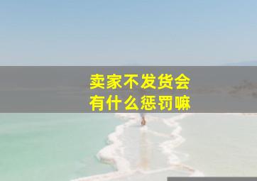 卖家不发货会有什么惩罚嘛