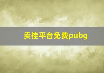 卖挂平台免费pubg