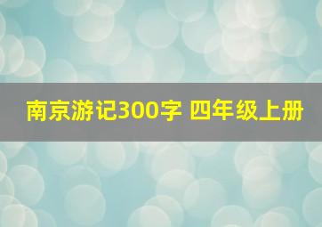 南京游记300字 四年级上册