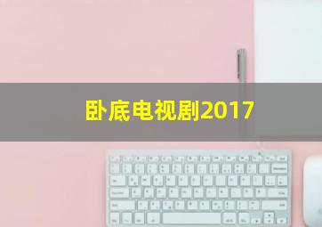 卧底电视剧2017