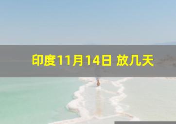 印度11月14日 放几天