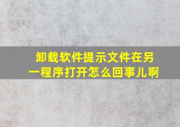 卸载软件提示文件在另一程序打开怎么回事儿啊