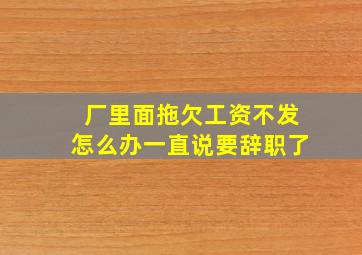 厂里面拖欠工资不发怎么办一直说要辞职了