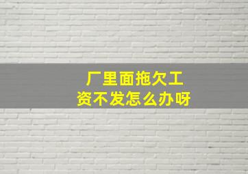 厂里面拖欠工资不发怎么办呀