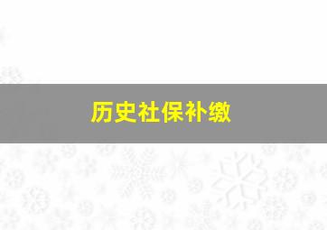 历史社保补缴