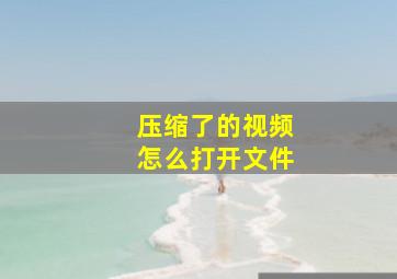 压缩了的视频怎么打开文件