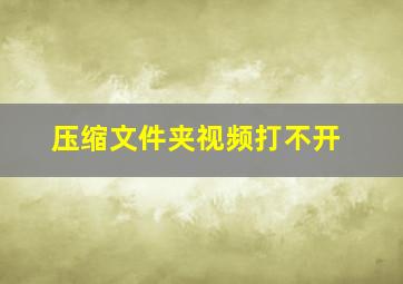 压缩文件夹视频打不开