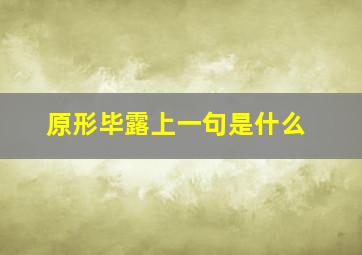 原形毕露上一句是什么