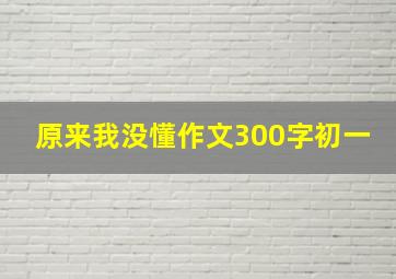 原来我没懂作文300字初一