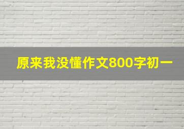 原来我没懂作文800字初一