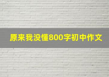 原来我没懂800字初中作文