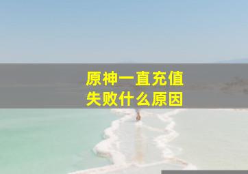 原神一直充值失败什么原因