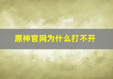 原神官网为什么打不开