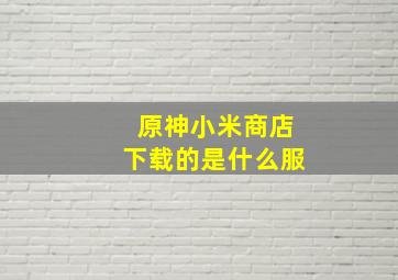 原神小米商店下载的是什么服