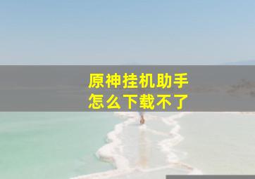 原神挂机助手怎么下载不了