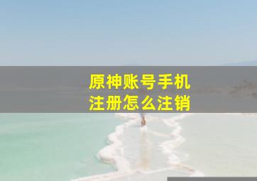 原神账号手机注册怎么注销