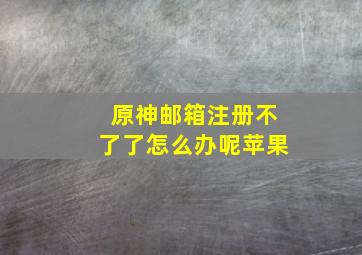 原神邮箱注册不了了怎么办呢苹果