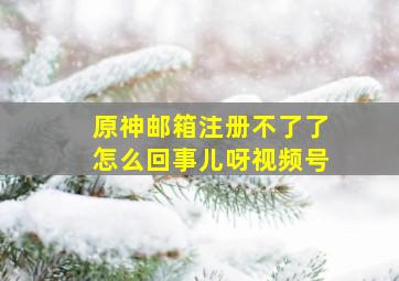 原神邮箱注册不了了怎么回事儿呀视频号