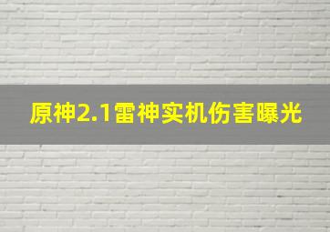 原神2.1雷神实机伤害曝光