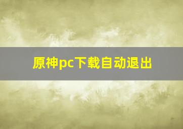 原神pc下载自动退出