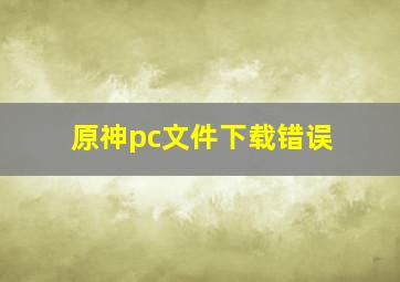 原神pc文件下载错误