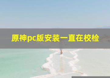 原神pc版安装一直在校检