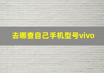 去哪查自己手机型号vivo