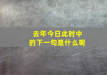 去年今日此时中的下一句是什么呢