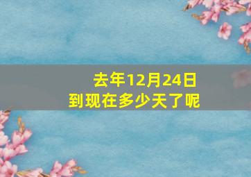 去年12月24日到现在多少天了呢