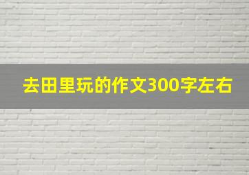 去田里玩的作文300字左右