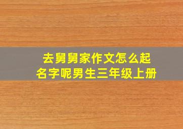 去舅舅家作文怎么起名字呢男生三年级上册