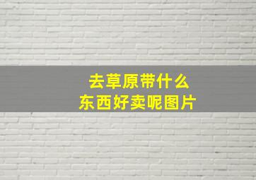 去草原带什么东西好卖呢图片