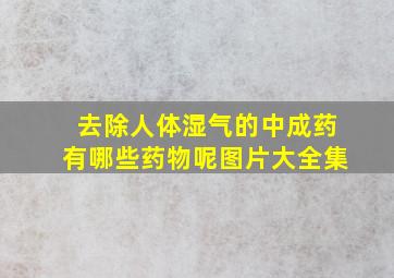 去除人体湿气的中成药有哪些药物呢图片大全集