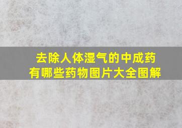 去除人体湿气的中成药有哪些药物图片大全图解