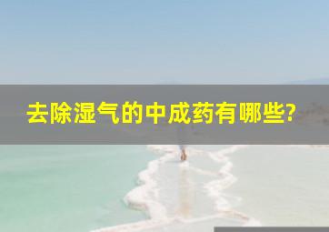 去除湿气的中成药有哪些?