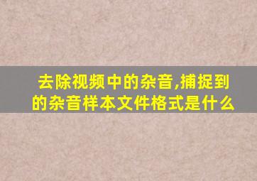 去除视频中的杂音,捕捉到的杂音样本文件格式是什么