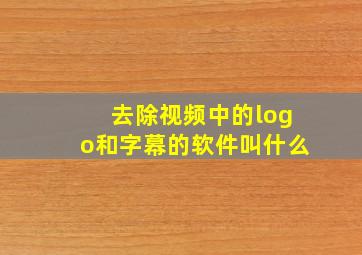 去除视频中的logo和字幕的软件叫什么