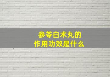 参苓白术丸的作用功效是什么