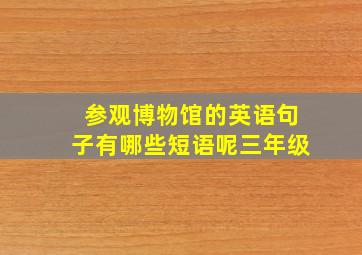 参观博物馆的英语句子有哪些短语呢三年级