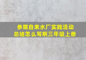 参观自来水厂实践活动总结怎么写啊三年级上册