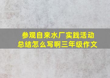 参观自来水厂实践活动总结怎么写啊三年级作文