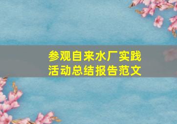 参观自来水厂实践活动总结报告范文