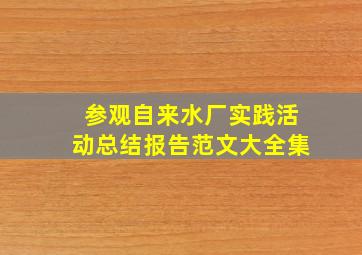 参观自来水厂实践活动总结报告范文大全集