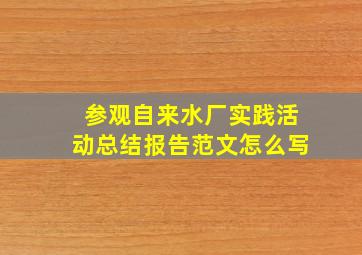 参观自来水厂实践活动总结报告范文怎么写