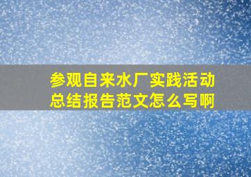 参观自来水厂实践活动总结报告范文怎么写啊