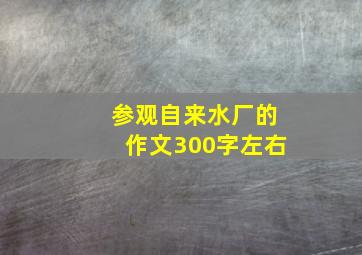 参观自来水厂的作文300字左右