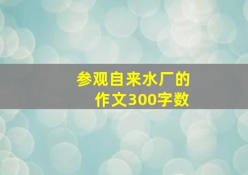 参观自来水厂的作文300字数