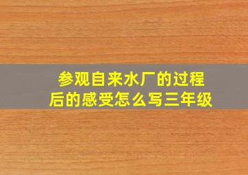 参观自来水厂的过程后的感受怎么写三年级