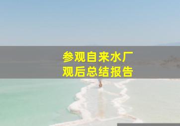 参观自来水厂观后总结报告