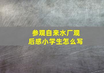 参观自来水厂观后感小学生怎么写